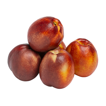 Nectarina